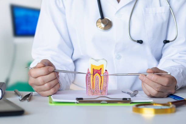 Best Tooth Infection Emergency Dentist  in Puyallup, WA